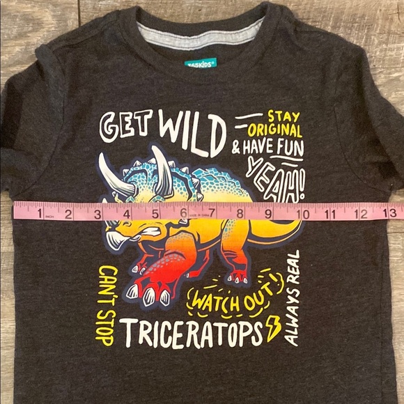 Kids Charcoal Triceratops Graphic Long Sleeve Tee - Picture 2 of 5